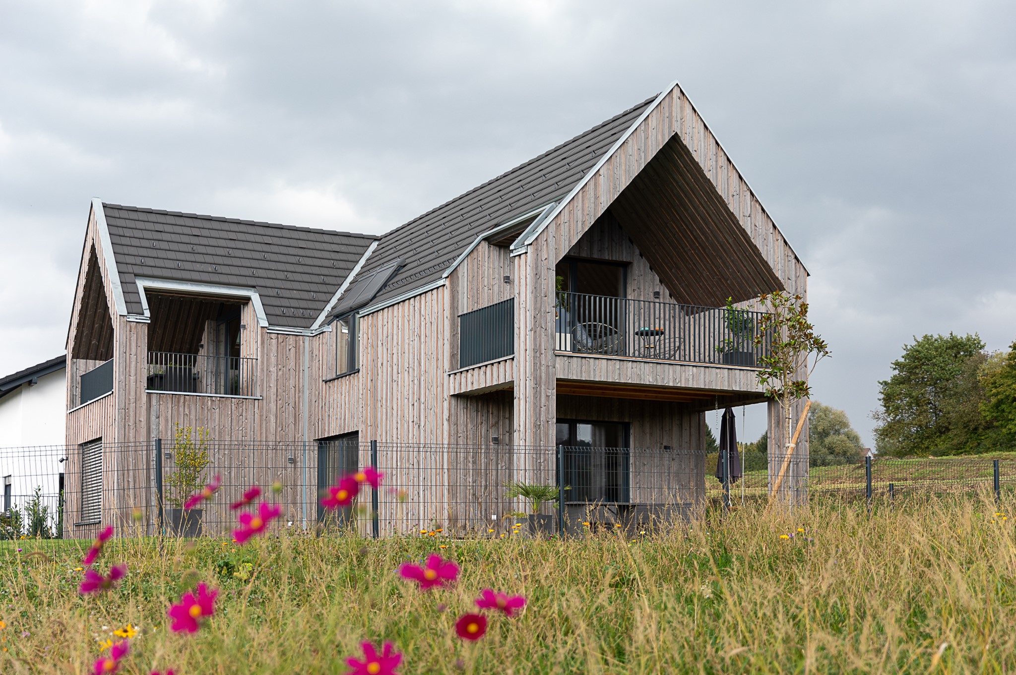 Am Waldschacher Teich